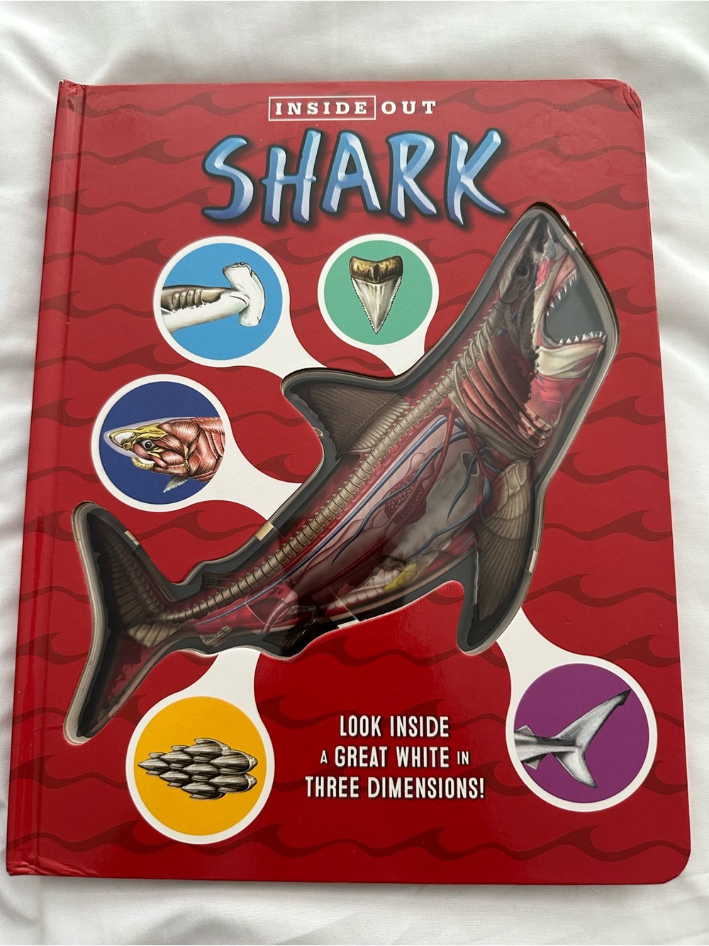 Inside Out Great White Shark Interactive Board Book